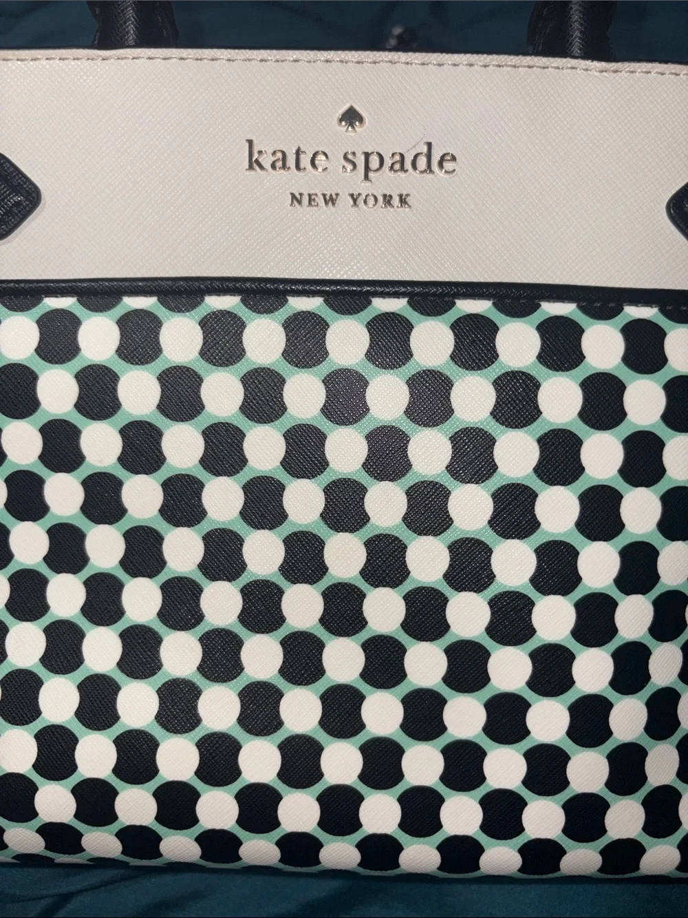 The Kate Spade New York Staci Benay Spot Medium Satchel + Free Dusty